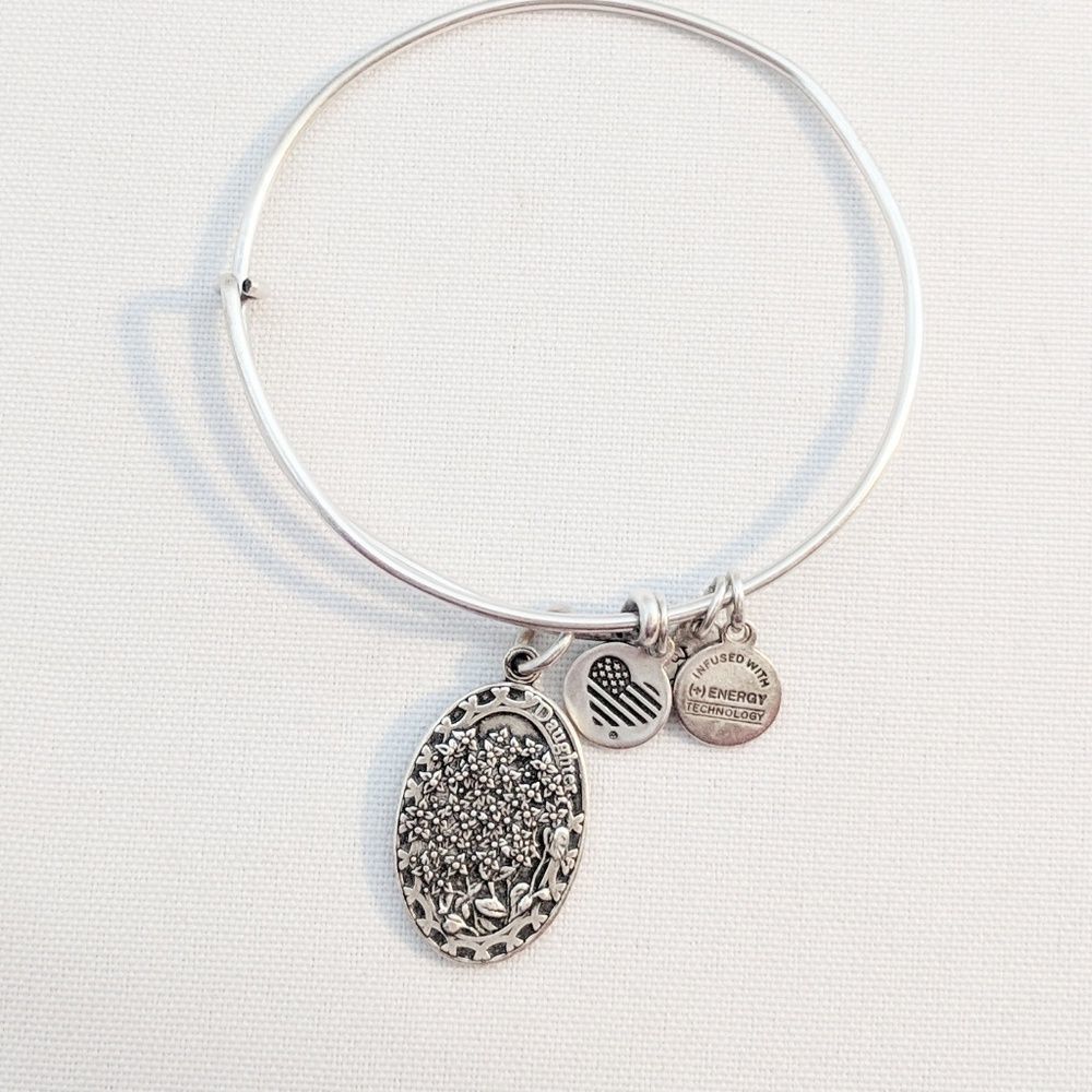 Alex and Ani Silver Daughter Charm Bracelet - Picture 6 of 6